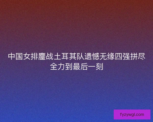 中国女排鏖战土耳其队遗憾无缘四强拼尽全力到最后一刻